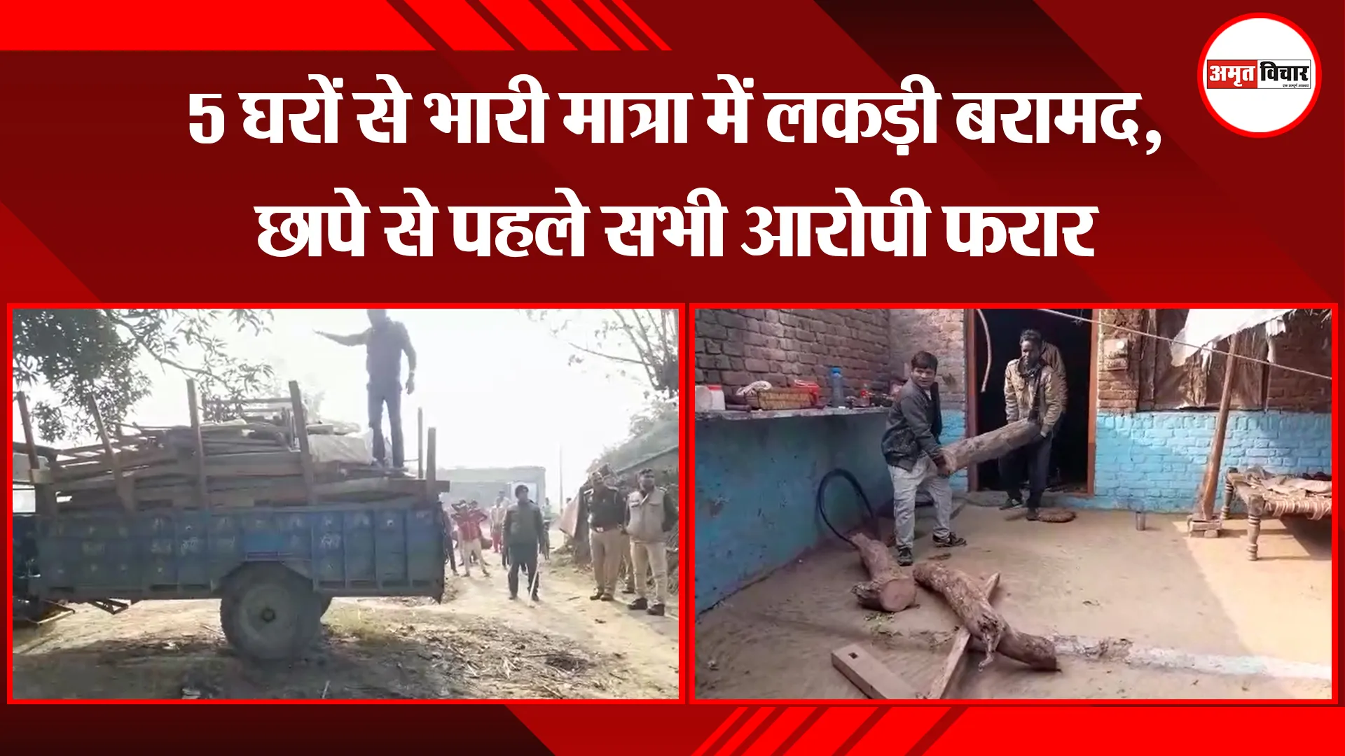 शाहजहांपुर: 5 घरों से भारी मात्रा में लकड़ी बरामद, छापे से पहले सभी आरोपी फरार