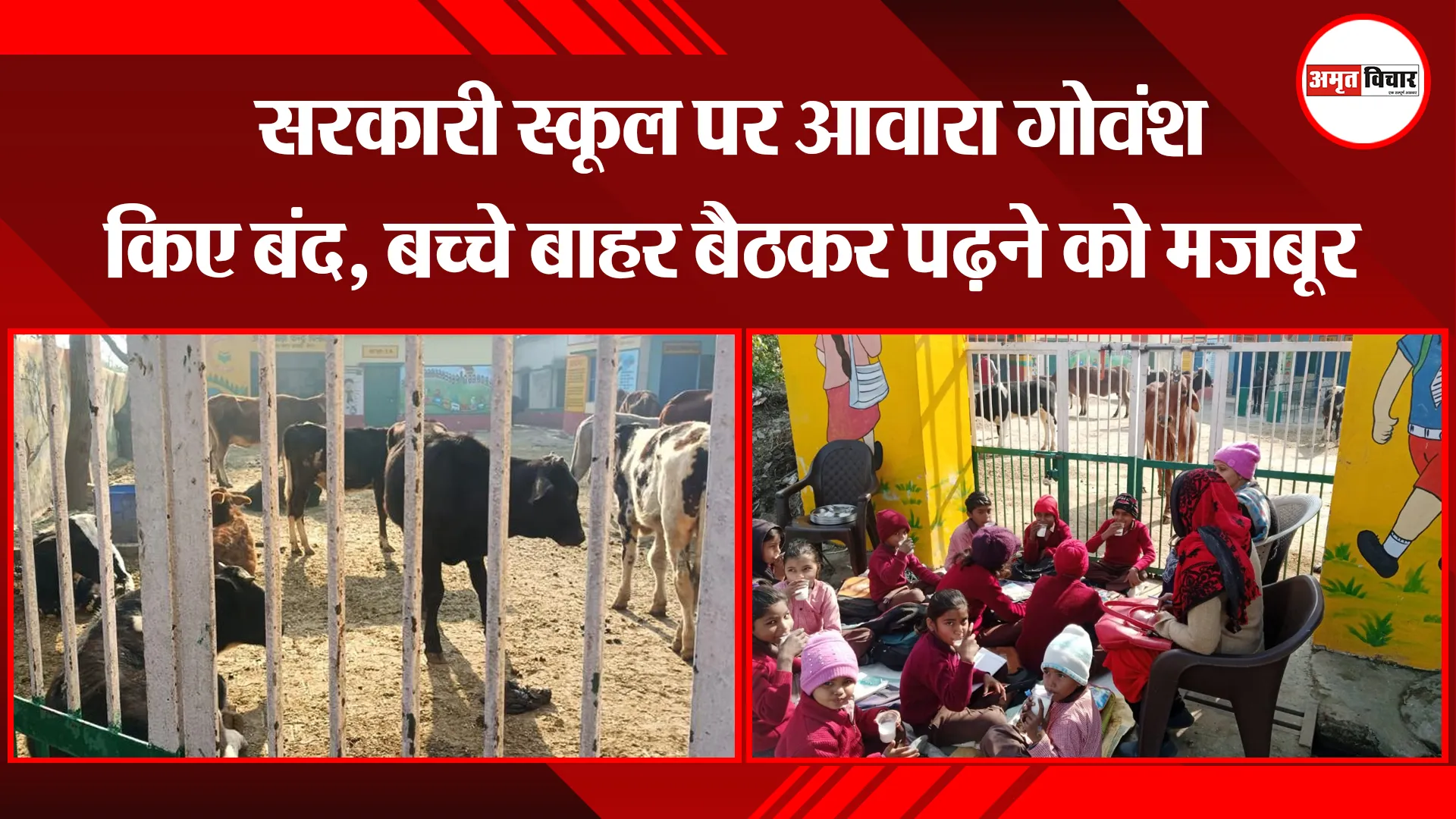 मेरठ: सरकारी स्कूल पर आवारा गोवंश किए बंद, बच्चे बाहर बैठकर पढ़ने को मजबूर