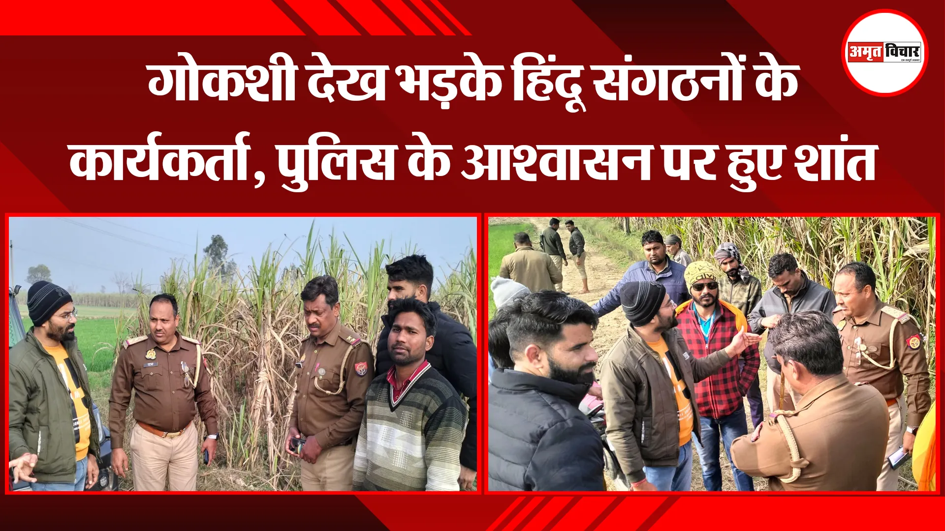 मेरठ: गोकशी देख भड़के हिंदू संगठनों के कार्यकर्ता, पुलिस के आश्वासन पर हुए शांत
