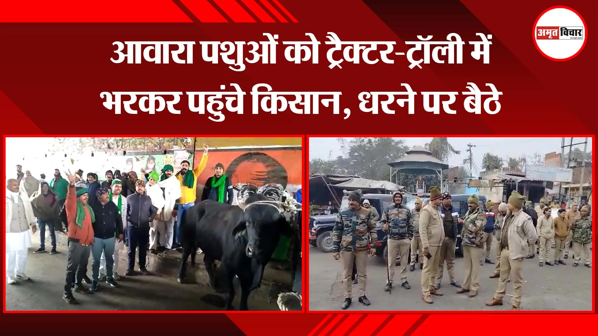 मेरठ: आवारा पशुओं को ट्रैक्टर-ट्रॉली में भरकर पहुंचे किसान, धरने पर बैठे