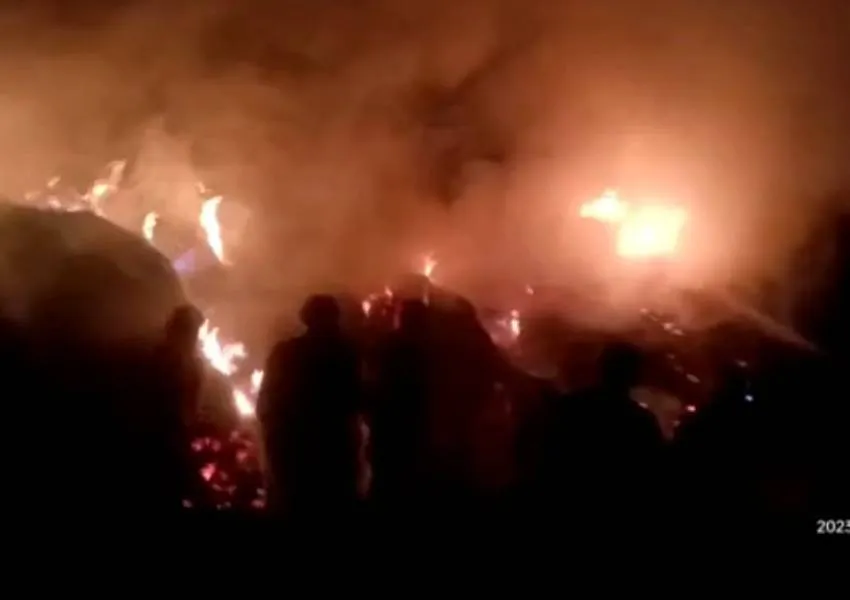 बहराइच: अज्ञात कारणों से पुआल के ढेर में लगी आग, दो मवेशी झुलसे