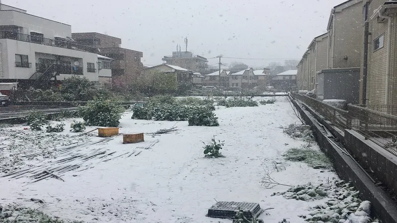 जापान में Heavy Snowfall से तीन लोगों की मौत, जनजीवन हुआ प्रभावित 