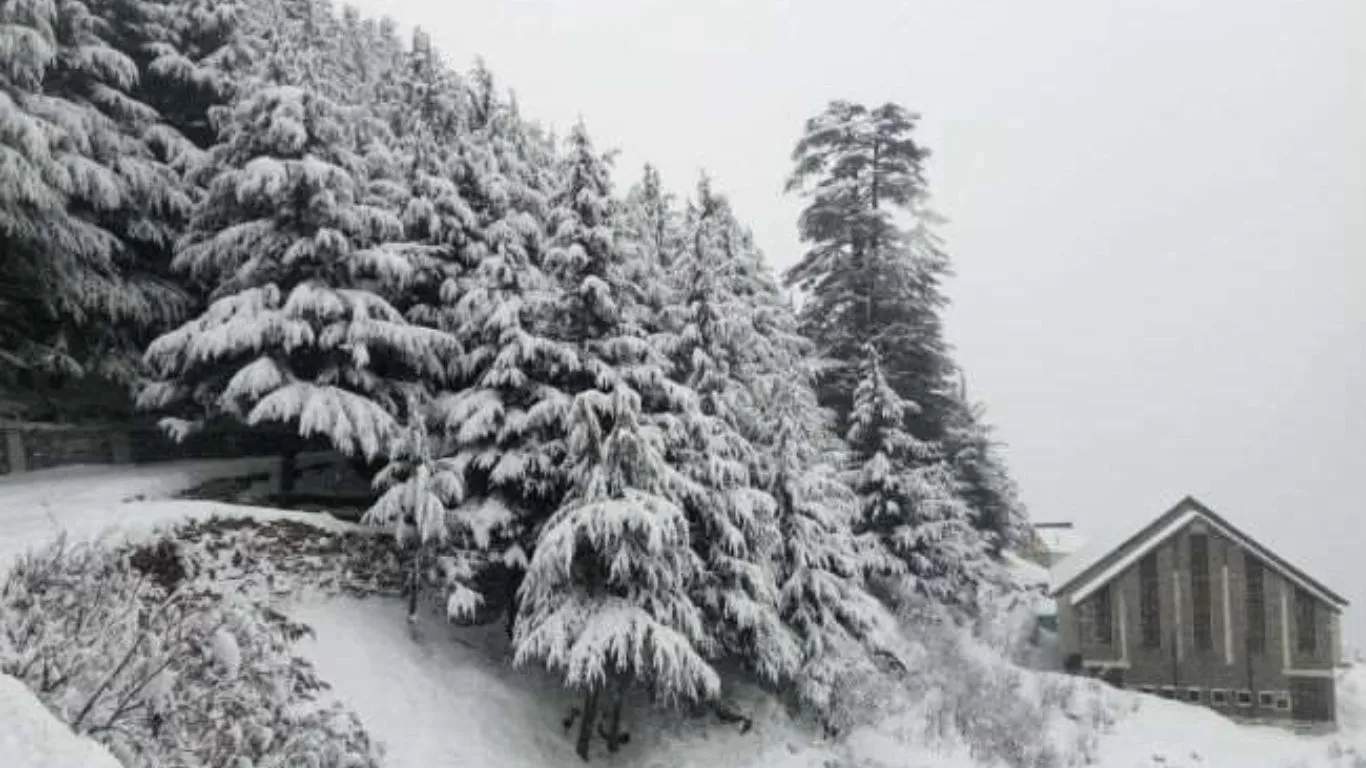 Uttarakhand News: उत्तराखंड के कई इलाकों में हुई बर्फबारी, ठंड बढ़ी