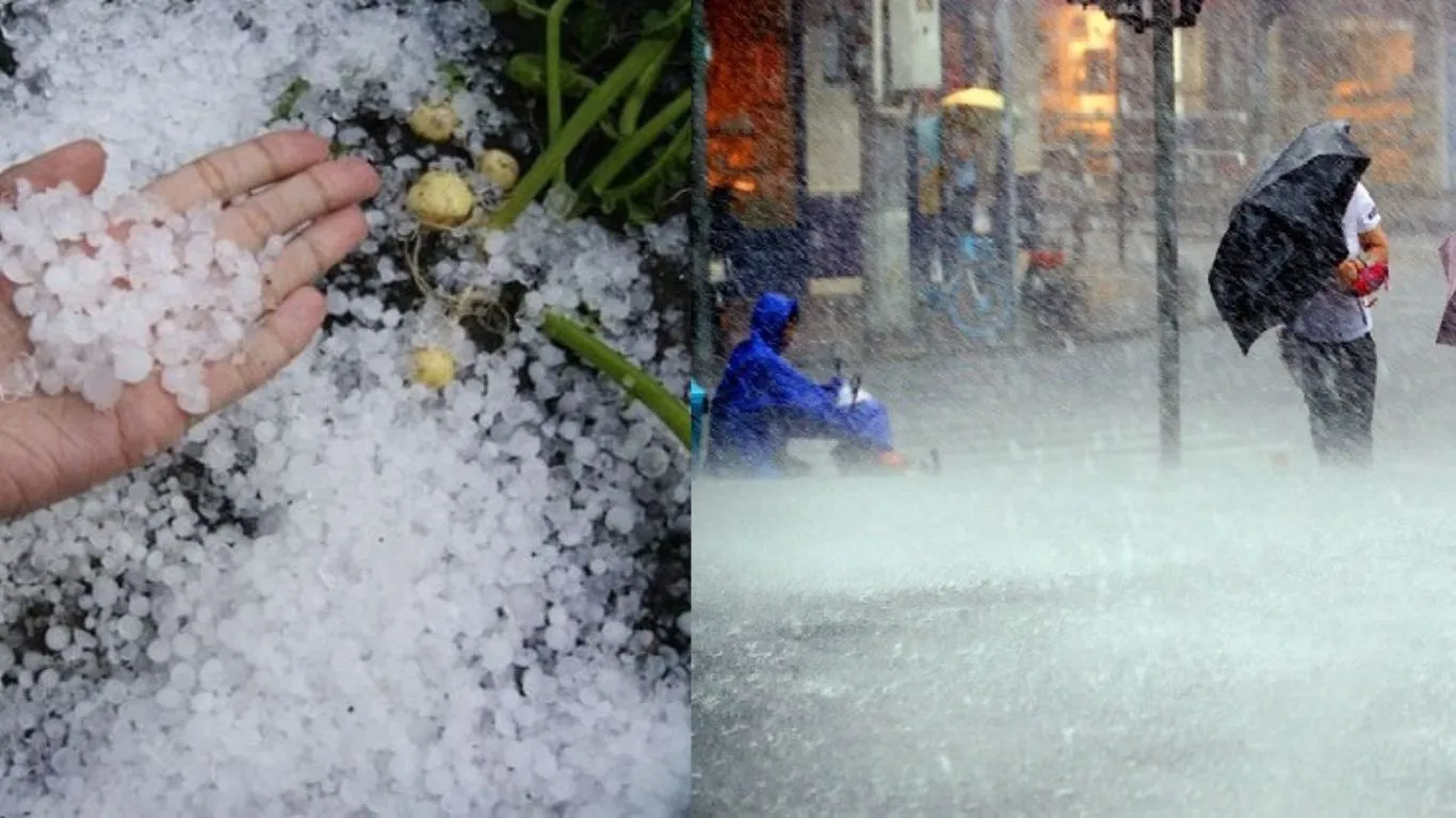 Uttarakhand : नैनीताल में नयना पीक पर ओलावृष्टि, बर्फबारी का इंतजार 