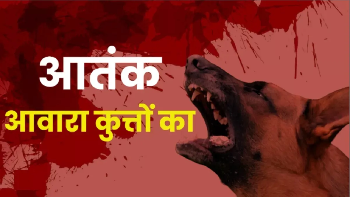 बरेली: खौफनाक... घर के बाहर खेल रहा था तीन साल का मासूम, खेतों में खींच ले गया कुत्तों का झुंड