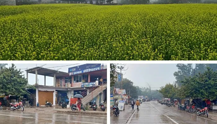 Weather Update News : फतेहपुर, उन्नाव समेत कई जिलों में बारिश से बढ़ी ठंड, यहां देखें- मौसम का हाल