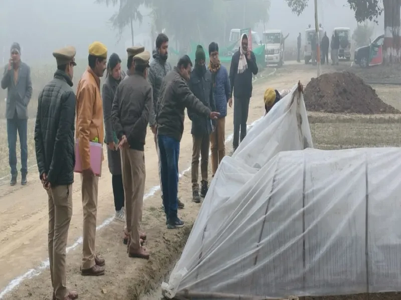 हरदोई: अब विदेशों में भेजी जाएगी हरदोई की लकड़ी!