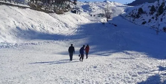 Joshimath crisis: जोशीमठ संकट से औली में कारोबार पर संकट बरकरार, पर्यटक कर रहे होटलों की बुकिंग रद्द 