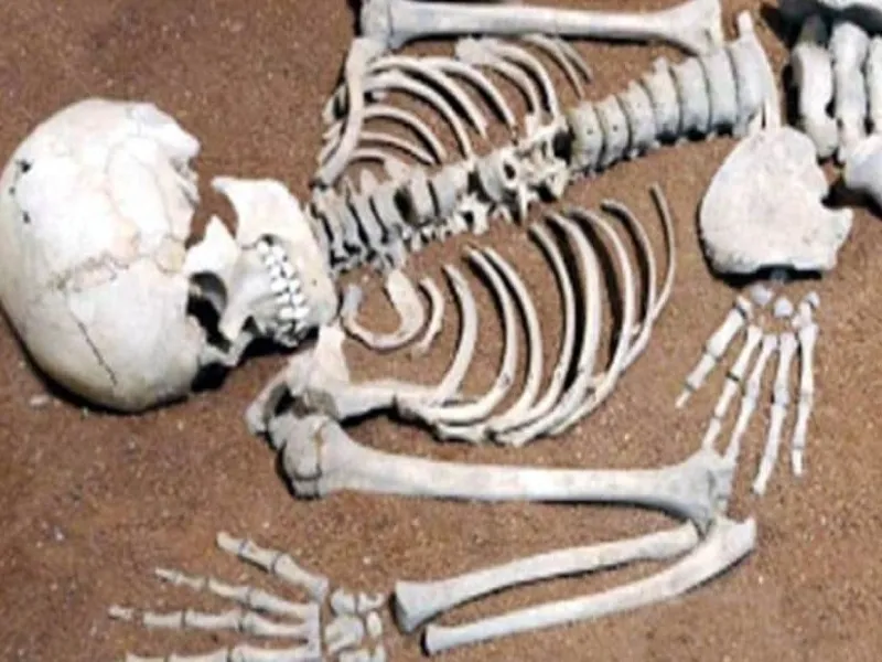 गौतम बुद्ध नगर : जंगल में मिला महिला का कंकाल, कपड़ों से पहचान करने में जुटी पुलिस