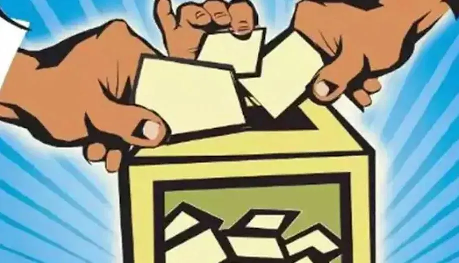 बरेली-मुरादाबाद खंड स्नातक चुनाव में कौन मारेगा बाजी?, तैयारियों में जुटा भाजपा-सपा खेमा