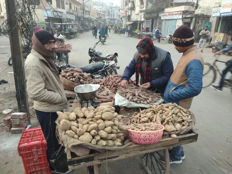 अयोध्या : गणेश चतुर्थी कल, कथा बिना नहीं मिलेगा पूजा का फल 