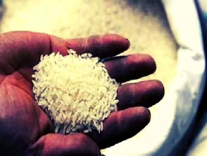 लखनऊ :  सर्दी में ठंडा हुआ तेल, चावल की कीमतों में उछाल जारी