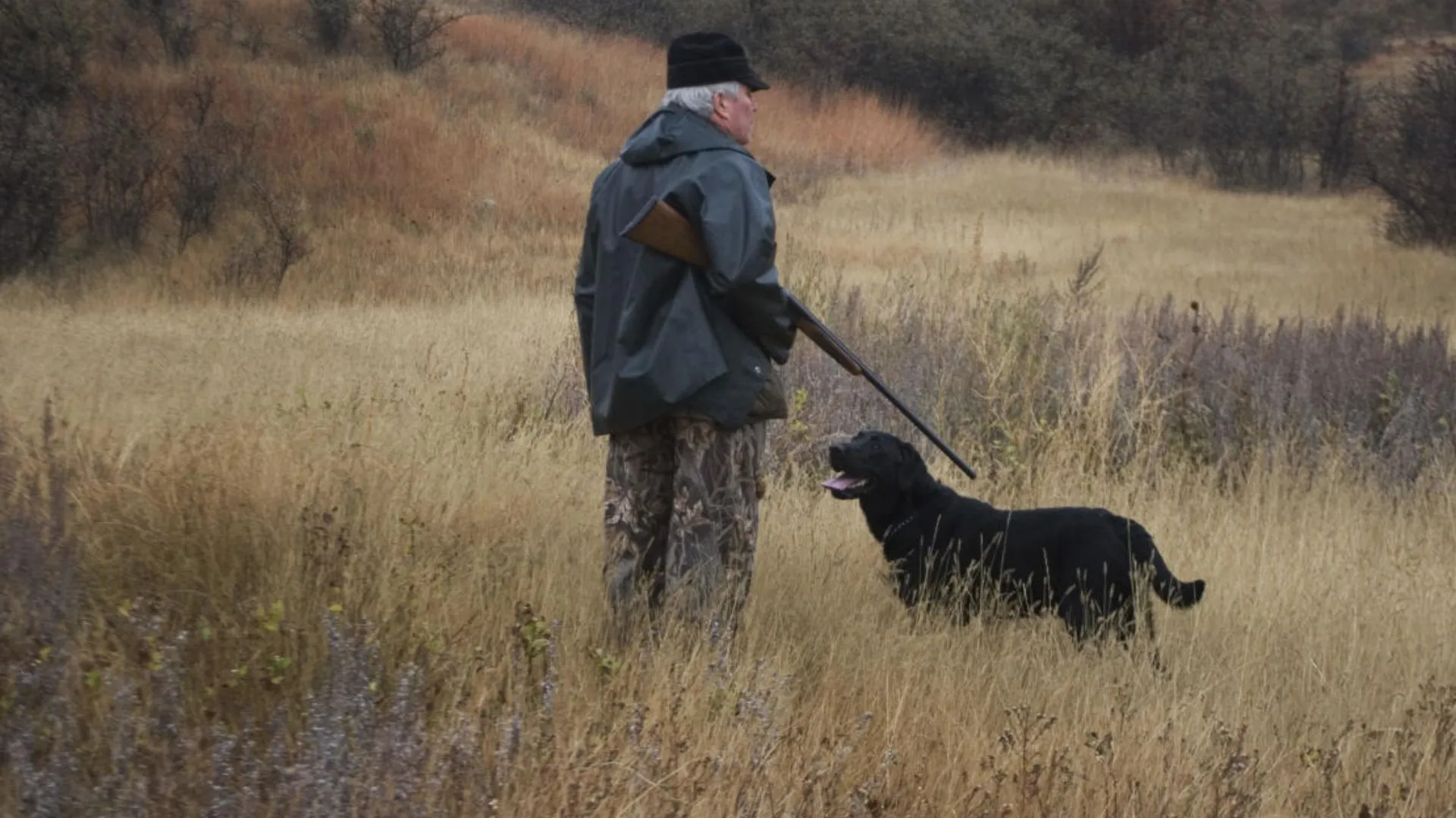 शिकारी खुद यहां...शिकार हो गया ! कुत्ते ने मारी गोली, मालिक की अस्पताल में मौत