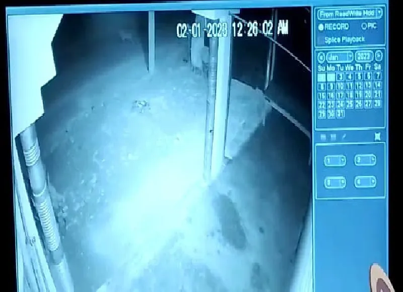 अयोध्या : हिंसक जानवर की दहशत बरकरार, वन विभाग ने लगाया पिंजरा