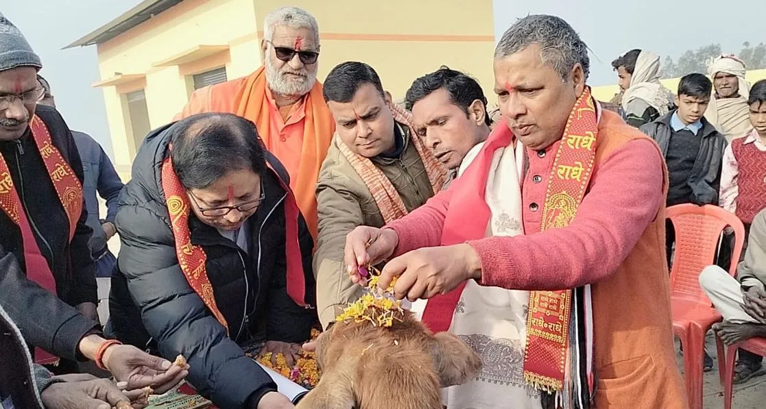 मुरादाबाद: छुट्टा पशुओं से किसानों को मिलेगी निजात, गोशाला में संरक्षित होंगे 300 गोवंश
