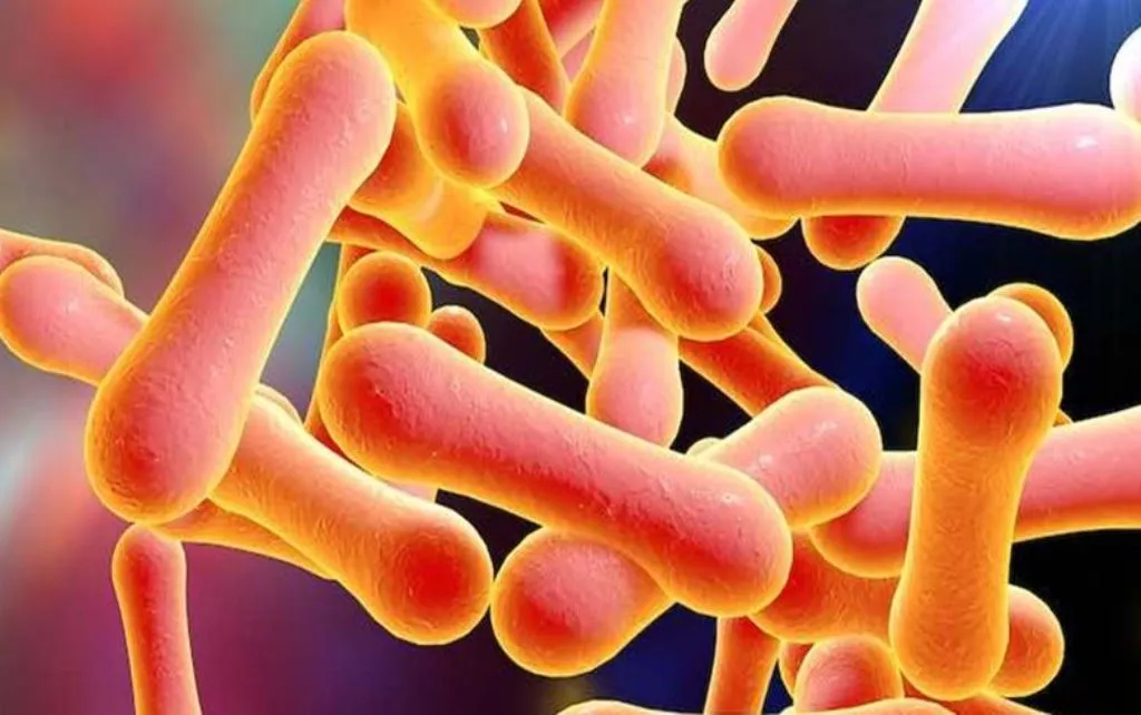 शाहजहांपुर: खुटार में मिला डिप्थीरिया का दूसरा मरीज, जिला अस्पताल में चल रहा इलाज