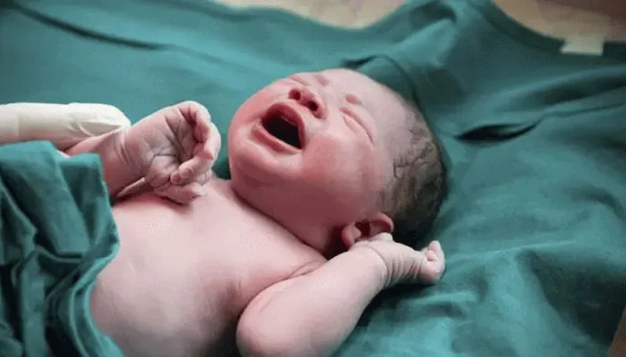 हल्द्वानी: नए साल पर ग्यारह घरों में गूंजी किलकारियां