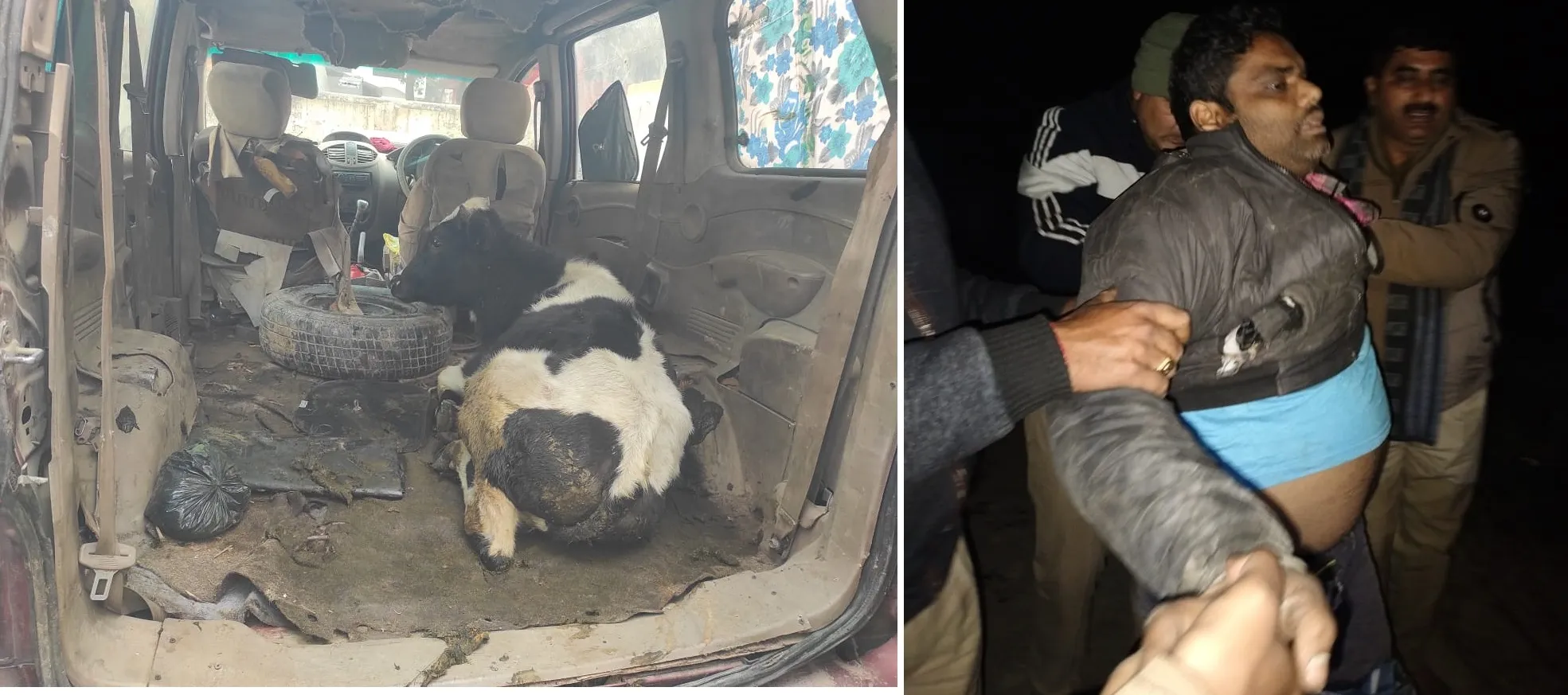 पुलिस मुठभेड़ में दो गौ तस्कर घायल
