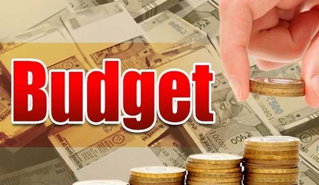 आम बजट में विनिवेश की सूची में और कंपनियों को जोड़े जाने की उम्मीद कम 