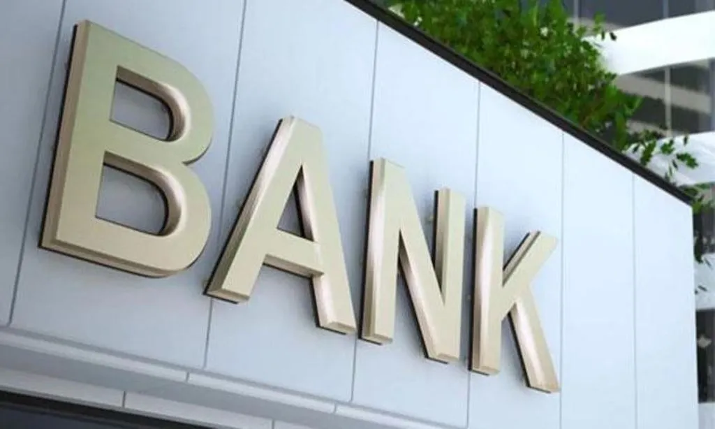 अगले बजट में सार्वजनिक क्षेत्र के बैंकों में नई पूंजी नहीं डालेगी सरकार 