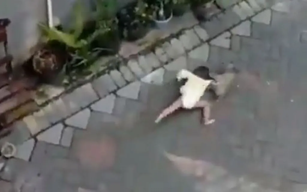 Viral Video: मासूम को खींचकर ले जाने लगा बंदर, आगे जो हुआ देखकर कांप जाएगी रूह