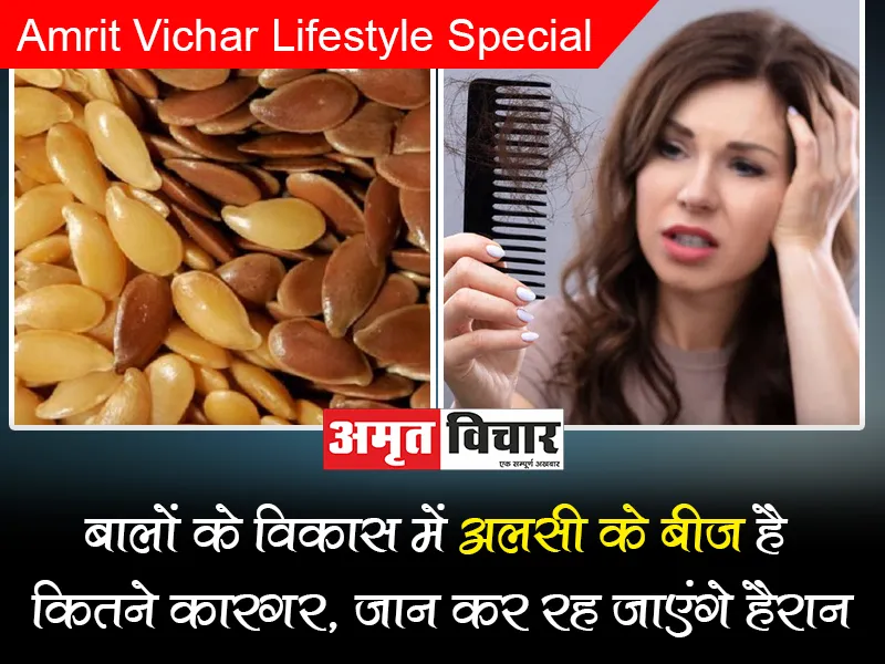 Benefits of alsi seeds: बालों के विकास में अलसी के बीज है कितने कारगर, जान कर रह जाएंगे हैरान