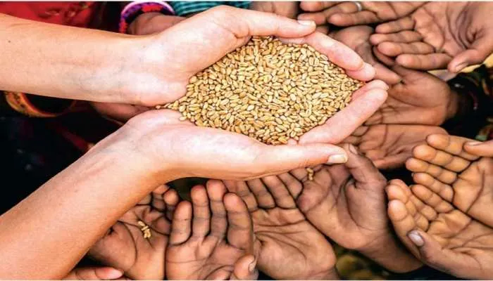 पंतनगर: 11 से वैश्विक खाद्य सुरक्षा पर दो दिवसीय अंतरराष्ट्रीय सम्मेलन 