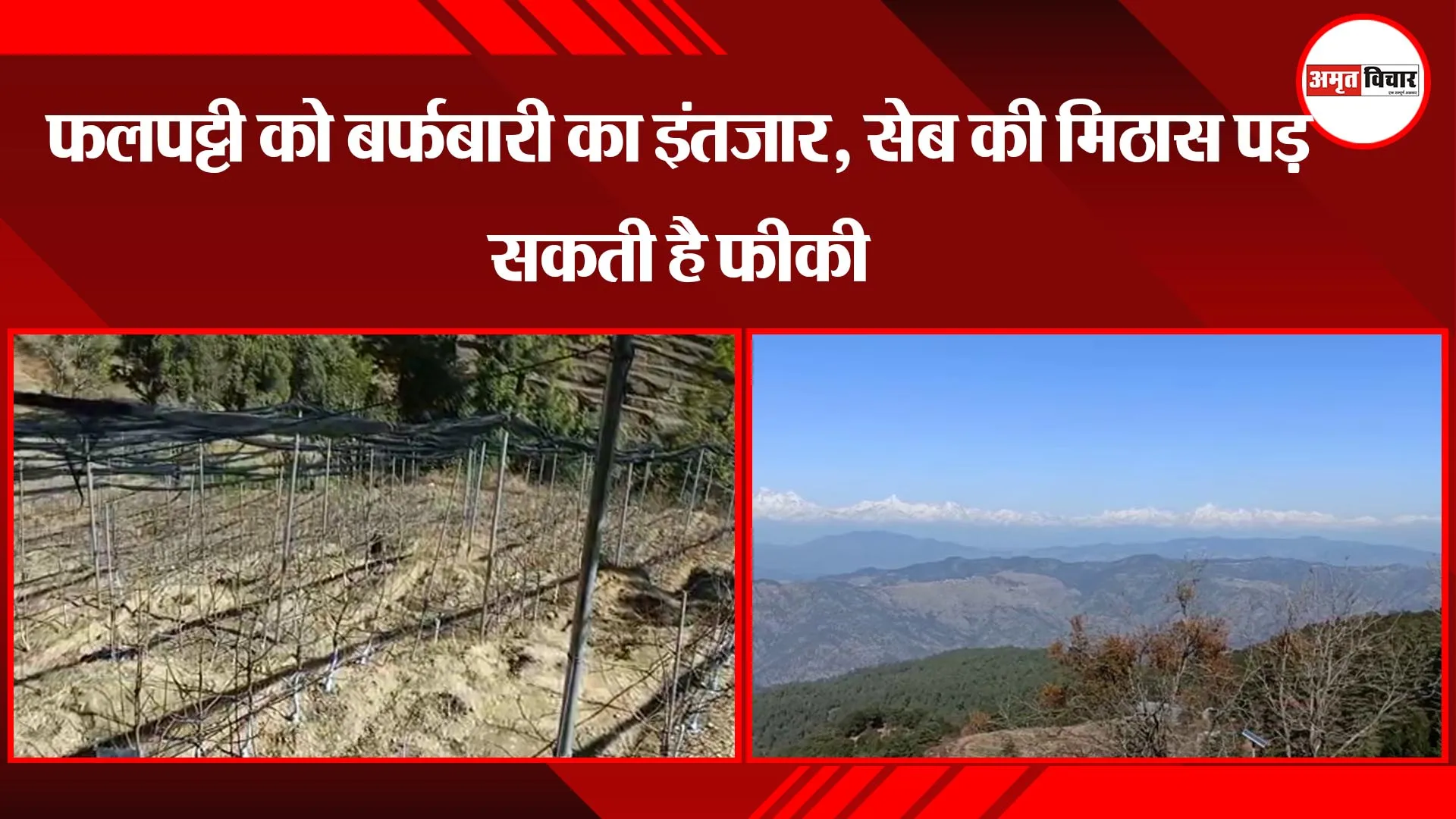 हल्द्वानी: फलपट्टी को बर्फबारी का इंतजार, सेब की मिठास पड़ सकती है फीकी