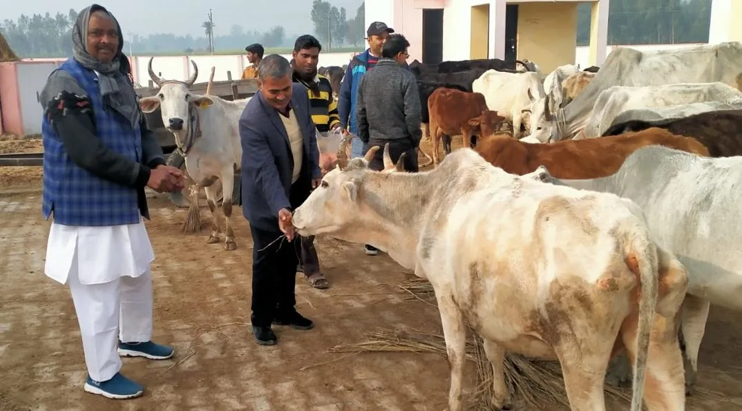 बरेली: मनरेगा कार्यों का निरीक्षण, गोशाला में देखीं व्यवस्थाएं 