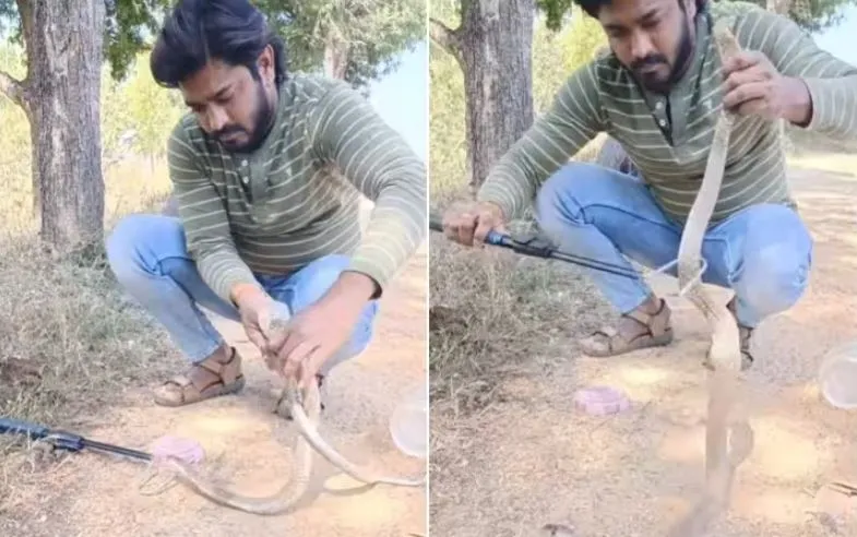 Video: सांप ने निगल ली प्लास्टिक की पाइप, फिर जो हुआ...वीडियो देख हो जाएंगे दंग