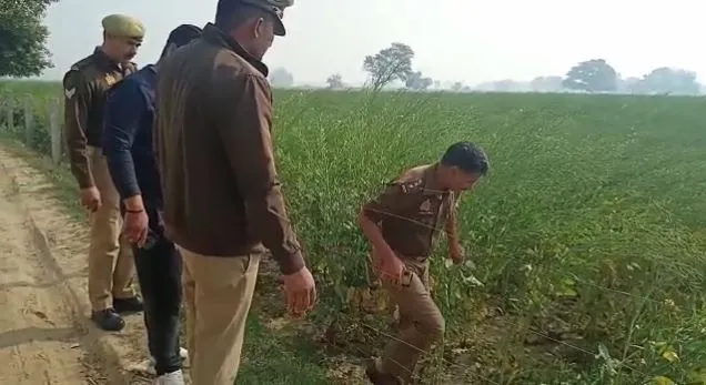 मथुरा: सरसों के खेत से मिला अज्ञात युवक का शव, शिनाख्त में जुटी पुलिस