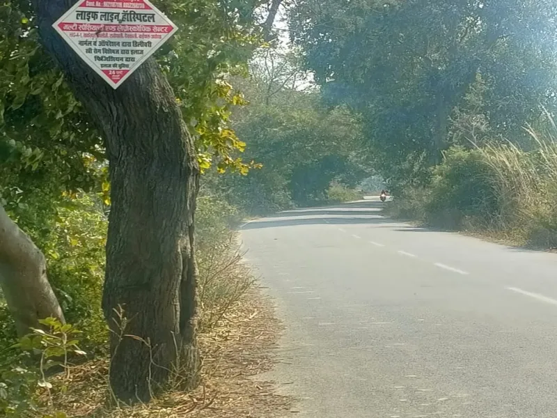 अयोध्या: यहां तो पेड़, पोल व पटरी बन रहे हादसों का कारण 