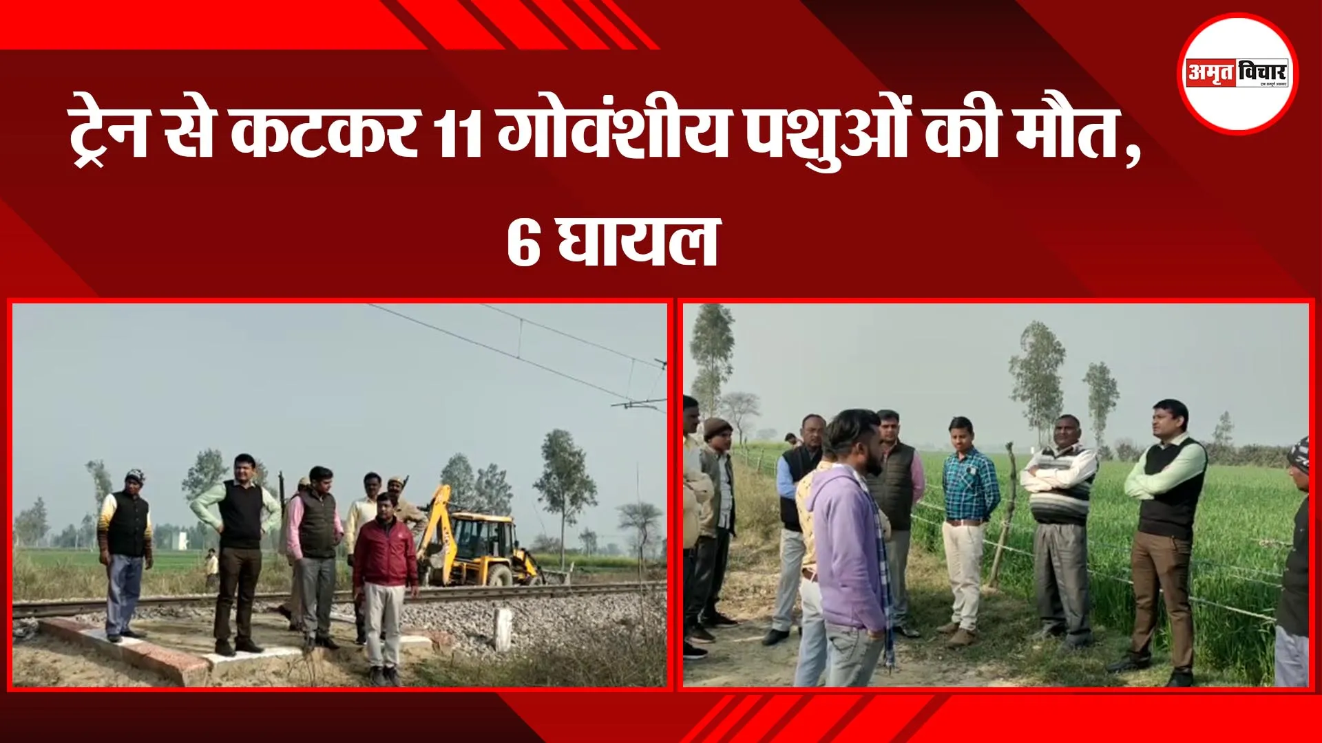 संभल: ट्रेन से कटकर 11 गोवंशीय पशुओं की मौत, 6 घायल