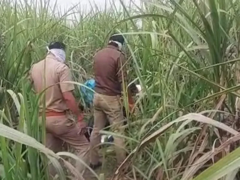 आगरा: लापता युवती का खेत में पड़ा मिला शव, जांच में जुटी पुलिस   