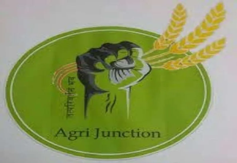  मुरादाबाद  : कृषि में स्नातक वालों का एग्री जंक्शन कर रहा इंतजार, पढ़ें पूरी खबर