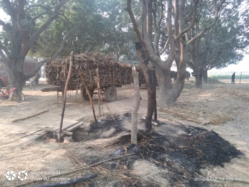 गोंडा में अराजक तत्वों ने फूंका गन्ना क्रय केंद्र का छप्पर, तौल ठप 