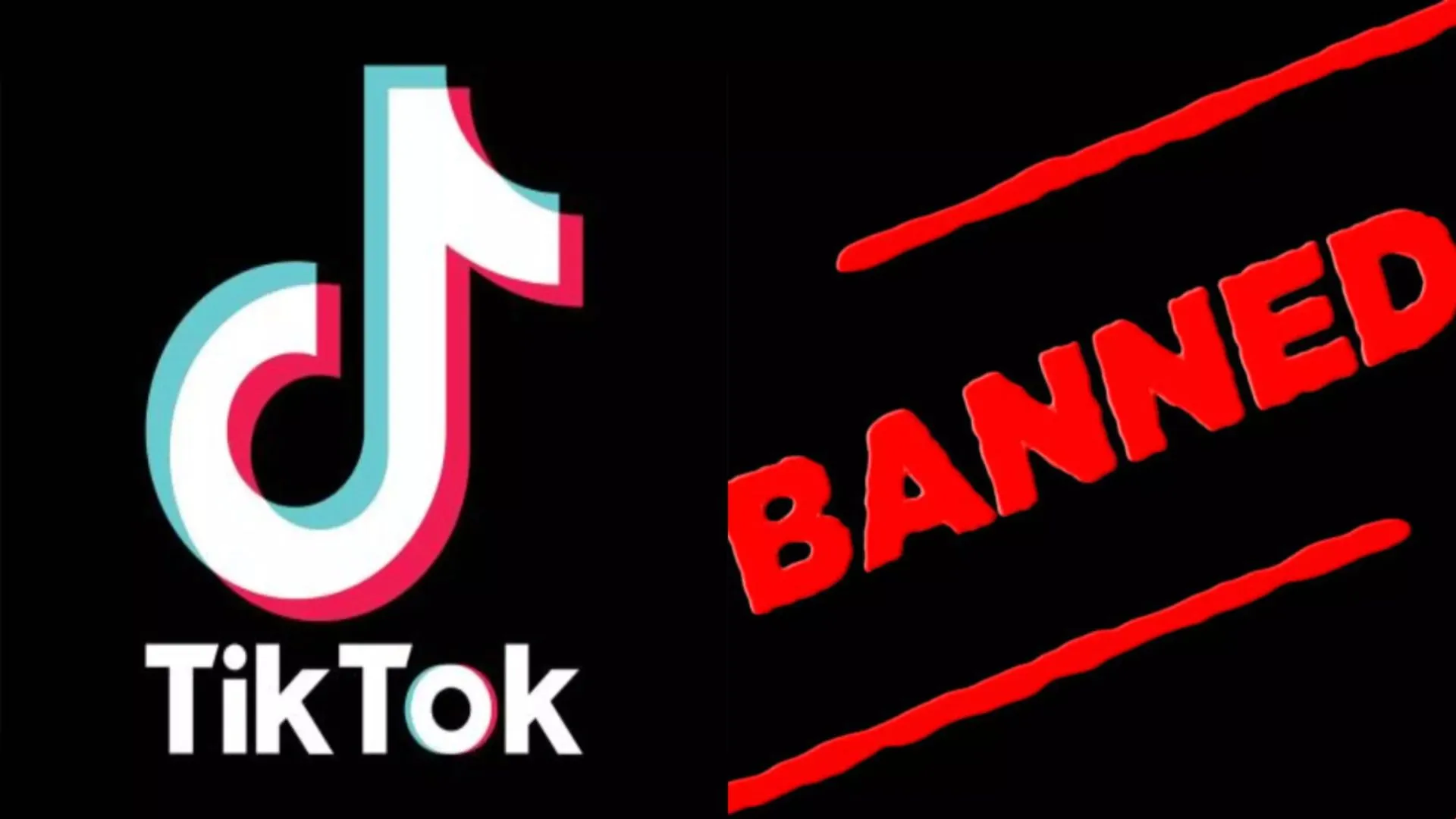 TikTok Ban : अमेरिका में सरकारी उपकरणों, कनाडा में सरकारी फोन में टिकटॉक पर प्रतिबंध 