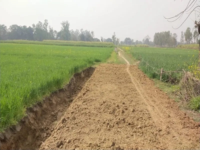 अयोध्या में एक माह में घट गए चार हजार से अधिक मनरेगा मजदूर 