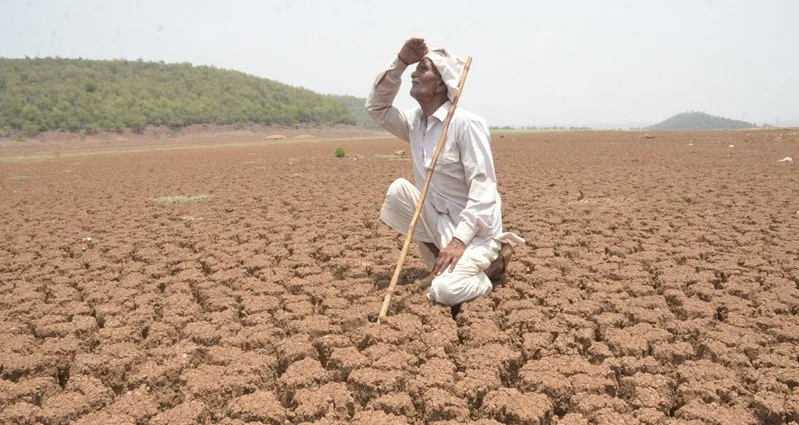 अल्मोड़ा:  मौसम की बेरुखी  - क्या करेगा अब कास्तकार, पेयजल संकट और वनाग्नि से निपटना भी मुश्किल 