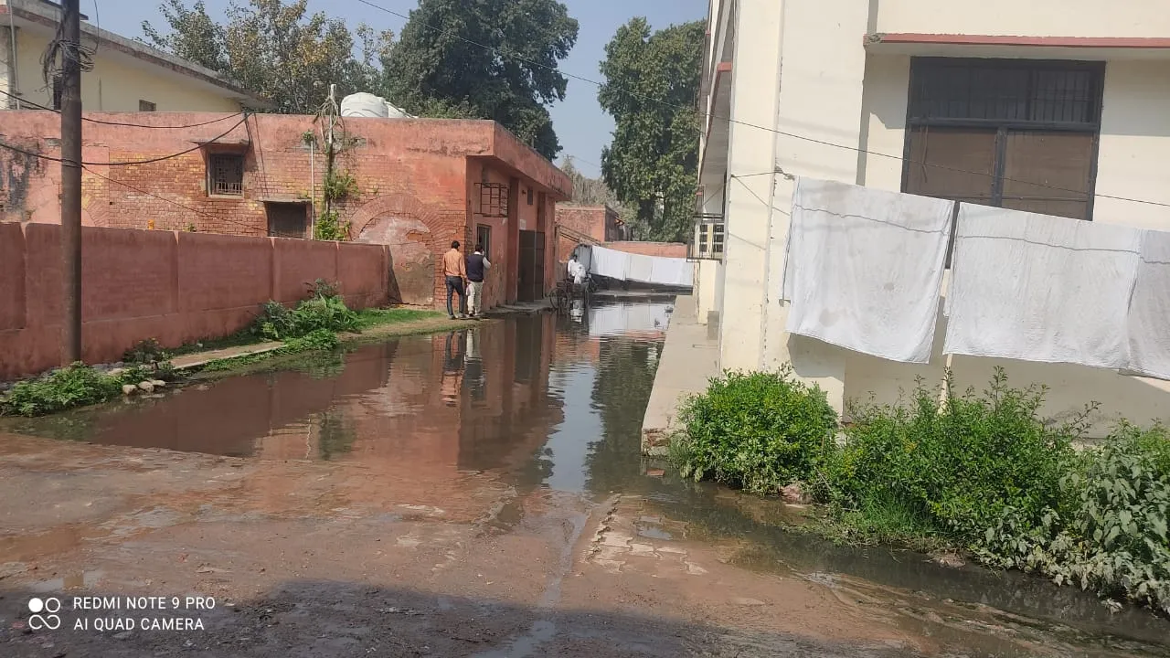 बरेली: जलभराव दूर नहीं कराया, एंटी लार्वा छिड़काव कराकर कर रहे बचाव