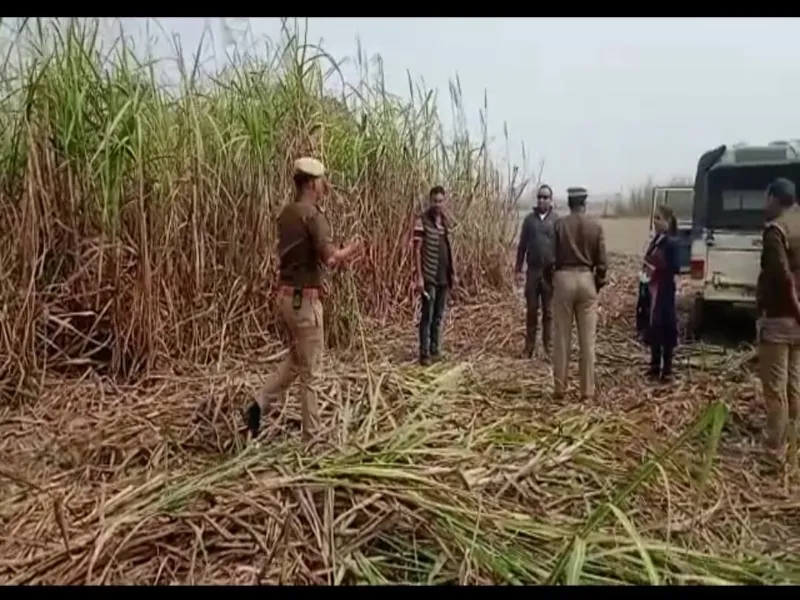 बहराइच: गन्ने के खेत में मिला तेंदुए का शव, पोस्टमार्टम के लिए बनाई गई टीम