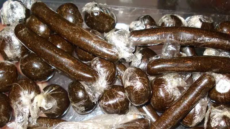 बनबसा: नेपाली नागरिक 1 किलो 900 ग्राम चरस संग गिरफ्तार  