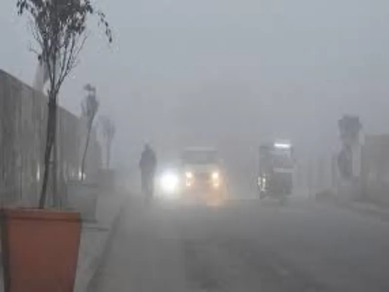 UP में कोहरे का कहर, गाजियाबाद और सहारनपुर में भिड़ीं कई गाड़ियां, 25 से ज्यादा घायल 