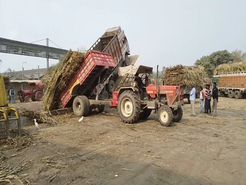 Hardoi Breaking News: शुगर मिल में गन्ना लदी ट्रैक्टर-ट्राली से कुचल कर किसान की मौत 