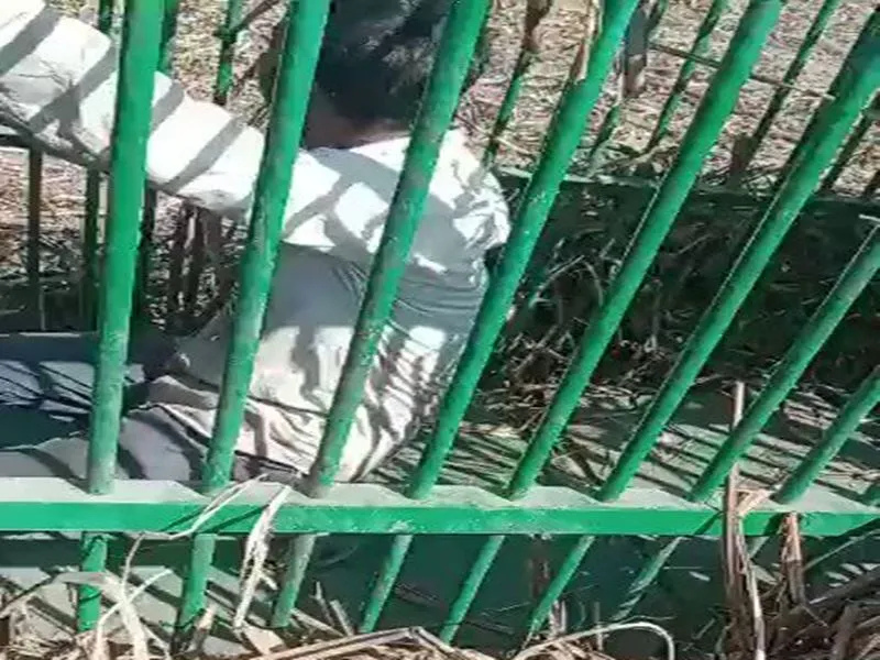 Viral Video: तेंदुए के लिये बिछाये जाल में फंसा लालची इंसान, देखें फिर क्या हुआ