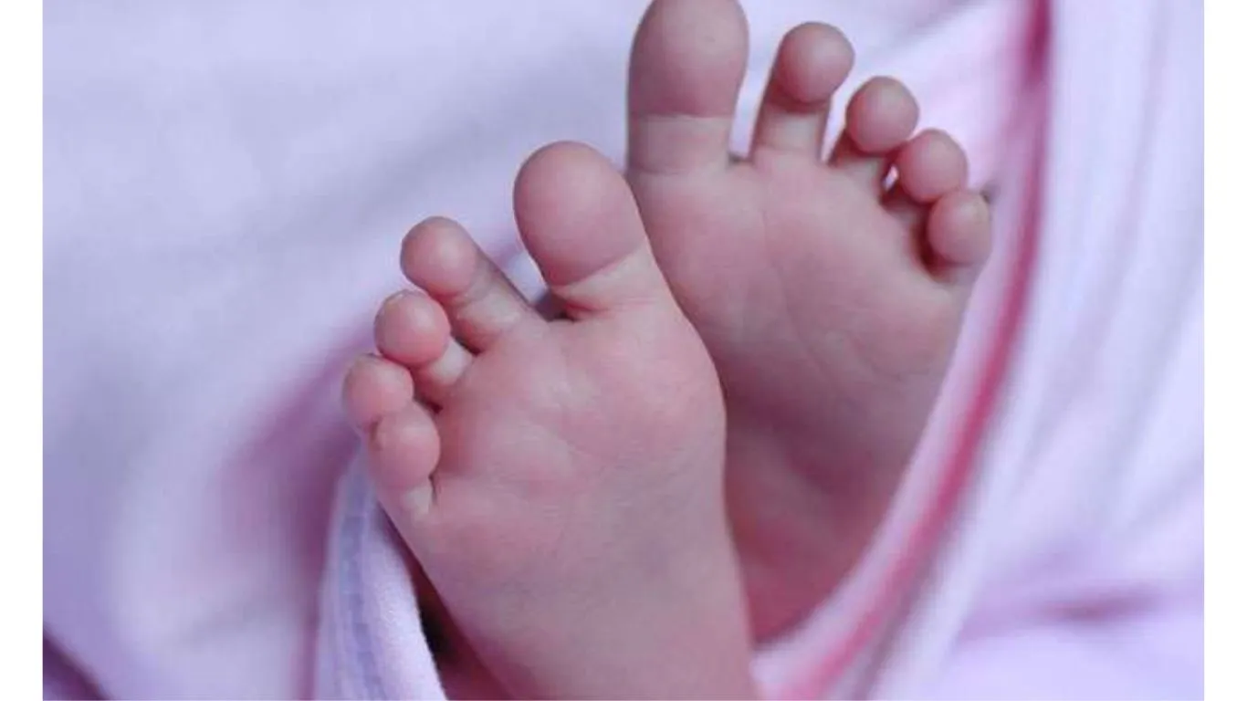 काशीपुरः कूड़े के ढेर में मिला नवजात का शव