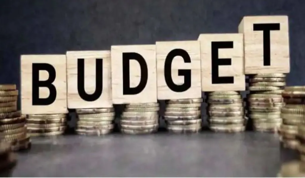 बजट में कमजोर जनजातियों की सामाजिक-आर्थिक स्थिति में सुधार के लिए योजना