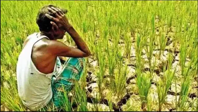 गरमपानी: सिंचाई के लिए समुचित पानी उपलब्ध कराने की मांग