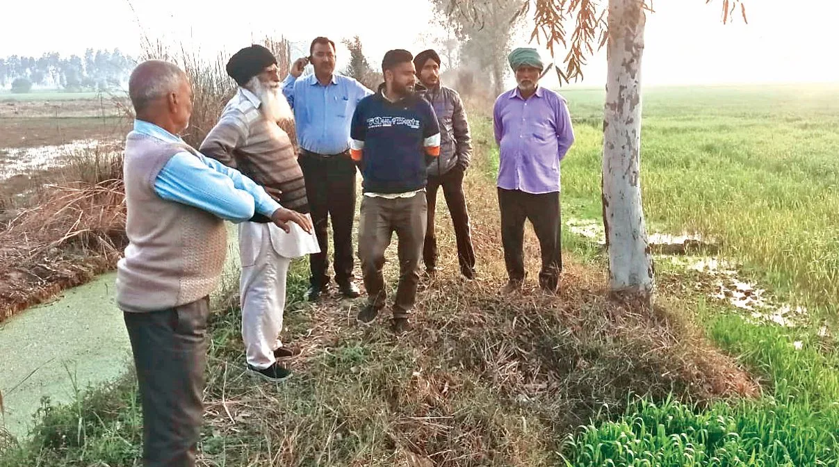 काशीपुरः कंपनी का रसायनयुक्त पानी छोड़ा जा रहा नहर में, फसल को हो रहा नुकसान