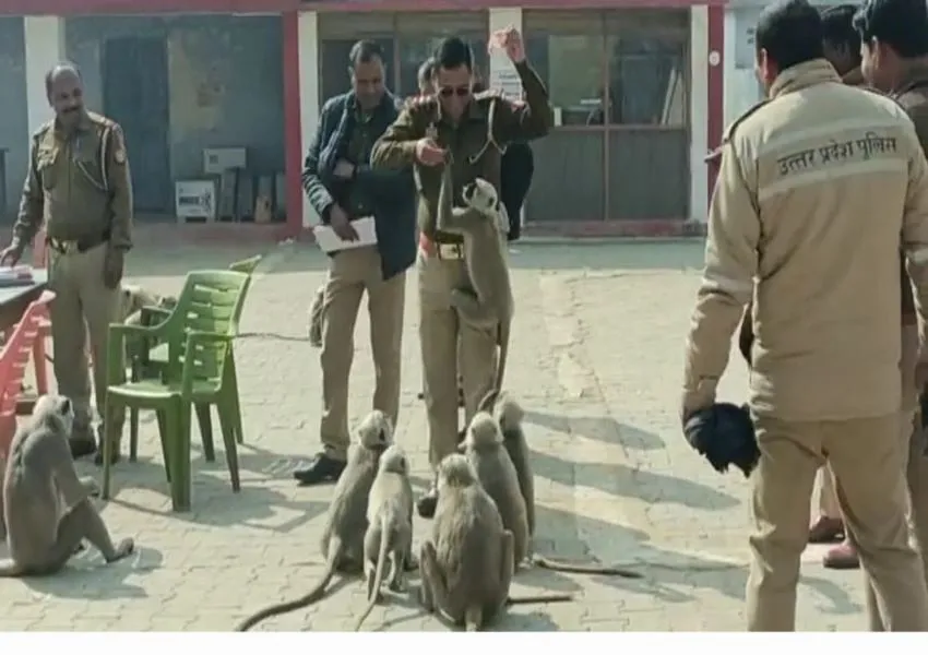 Viral Video: बहराइच कें मोतीपुर थाने में पहुंचा बंदरों का झुंड, थानाध्यक्ष के हाथों से बिस्किट खाकर लौटे
